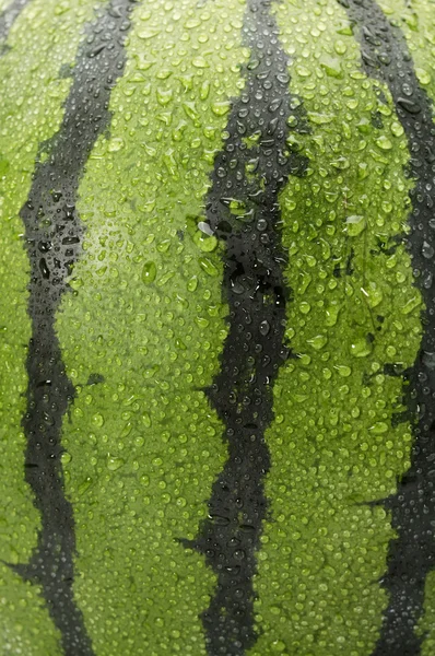 Bliska skóry arbuza — Zdjęcie stockowe