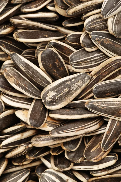 Sunflower seeds — Stock Photo, Image