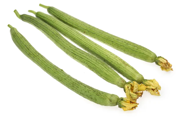Zucchini-Zucchini — Stockfoto