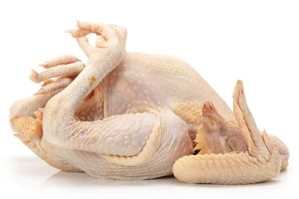 Çiğ tavuk — Stok fotoğraf