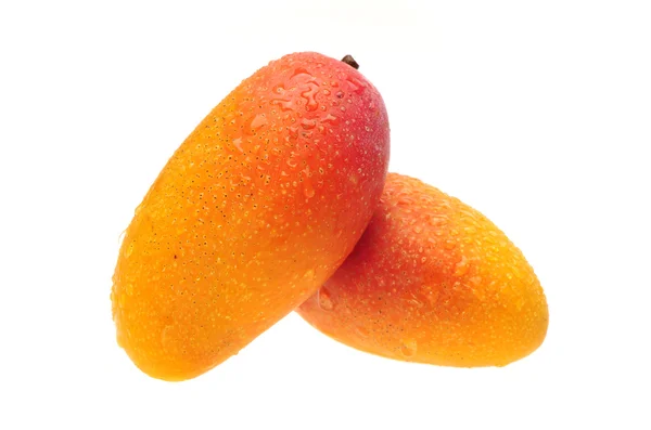 Żółte mango — Zdjęcie stockowe