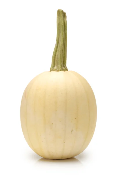 Cucurbita pepo zelenina — Stock fotografie