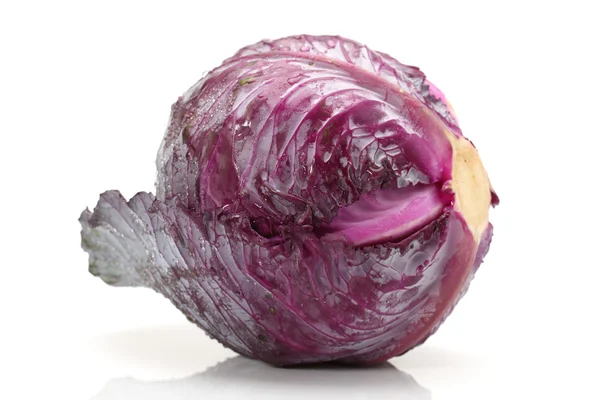 Frischer Rotkohl — Stockfoto