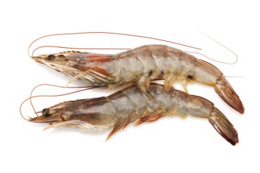 karides