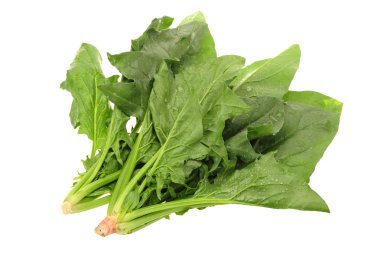 ıspanak