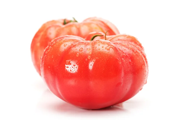 Tomate fresco — Fotografia de Stock