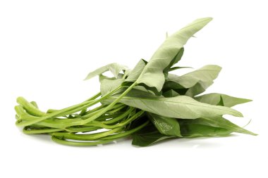 su ıspanak