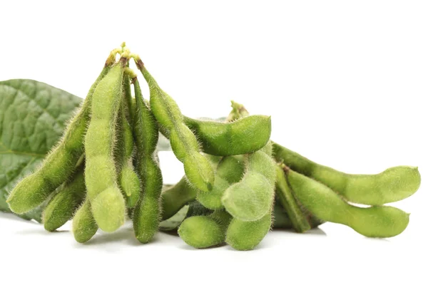 Soybean — Stock Photo, Image