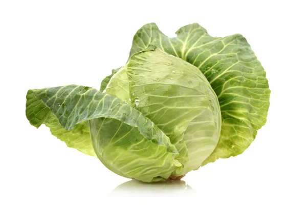 Fresh cabbage — Stock Photo, Image