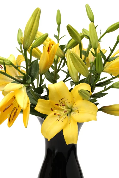 Yellow lilies — Stock Photo, Image