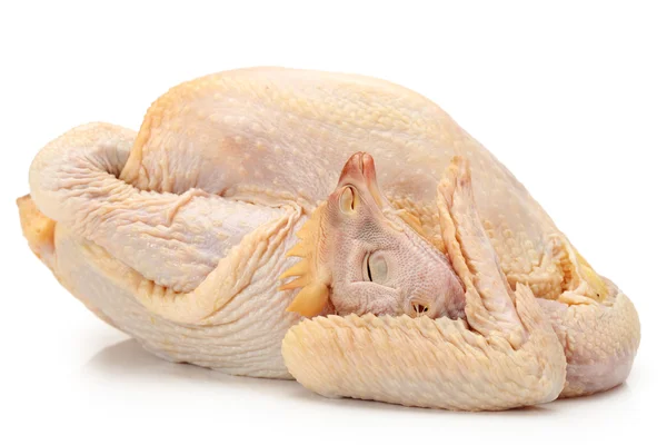 Raw duck isolated on white background — Stock Photo, Image