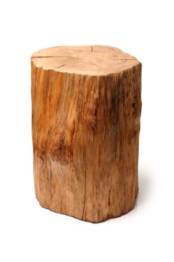 Beyaz bir arka plan üzerinde izole günlük