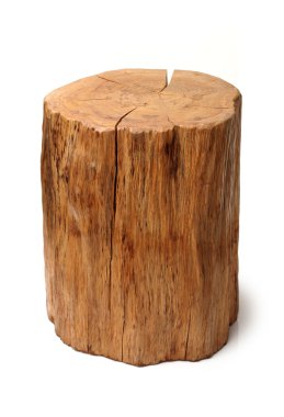 Beyaz bir arka plan üzerinde izole günlük