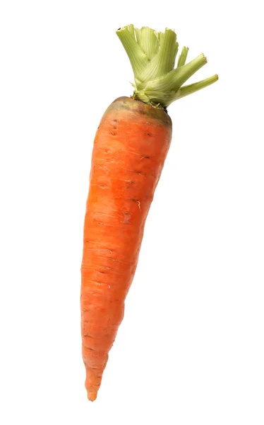 Fresh carrot — Stock Photo, Image