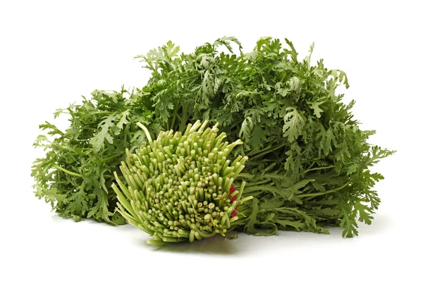 Edible Chrysanthemum — Stock Photo, Image