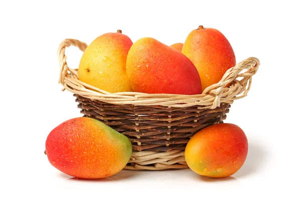 Gula mango — Stockfoto