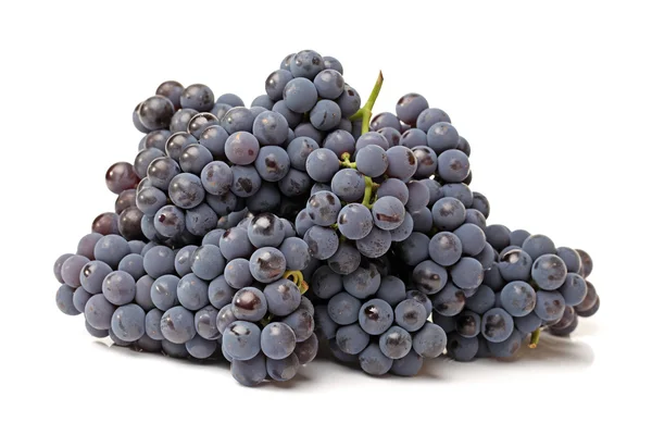 成熟的黑葡萄 — 图库照片