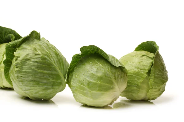 Cabbage isolated on white background — Stock Photo, Image