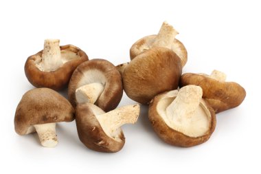 shiitake mantar