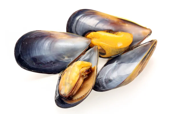 Group of boiled mussels in shells — Stock Photo, Image