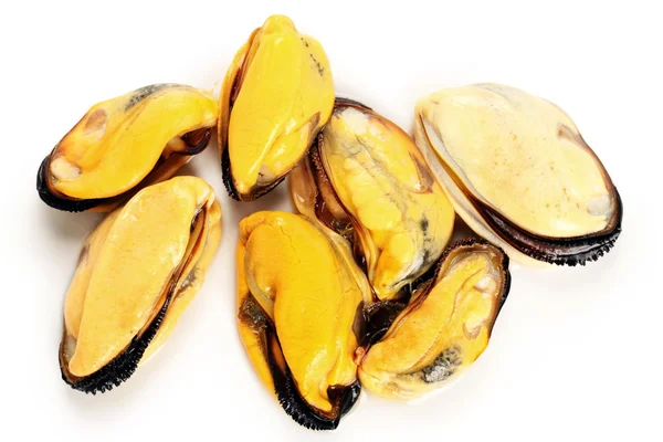 Primer plano de mejillones recién cocidos —  Fotos de Stock