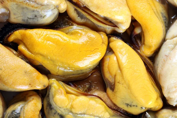 Primer plano de mejillones recién cocidos — Foto de Stock