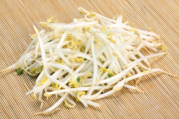 Mung bean sprouts — Stock Photo, Image