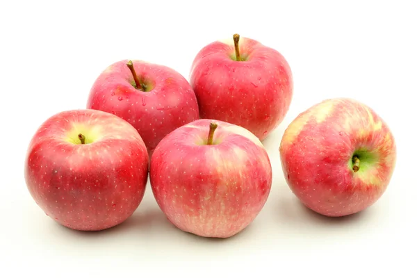 Manzana roja sobre fondo blanco —  Fotos de Stock