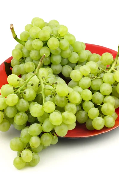 Ramo de uvas frescas — Foto de Stock