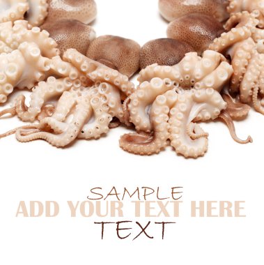 beyaz zemin üzerine ahtapot