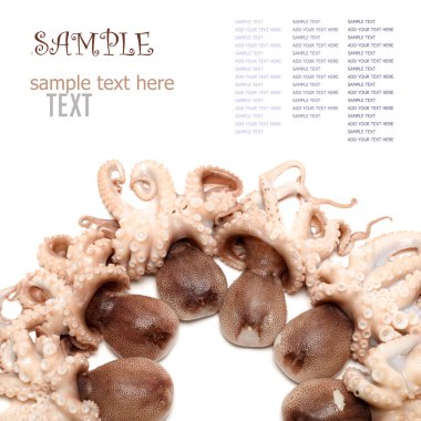 beyaz zemin üzerine ahtapot