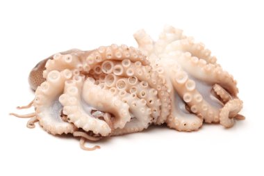 beyaz zemin üzerine ahtapot