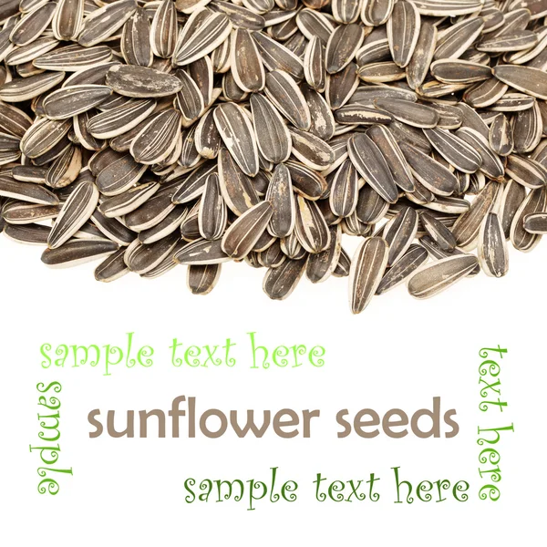 Sunflower seeds — Stock Photo, Image