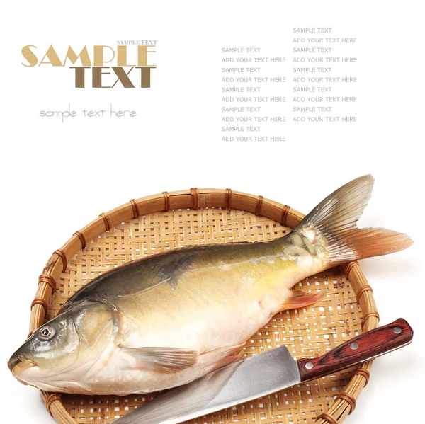 Карп из сырой рыбы на белом фоне — стоковое фото