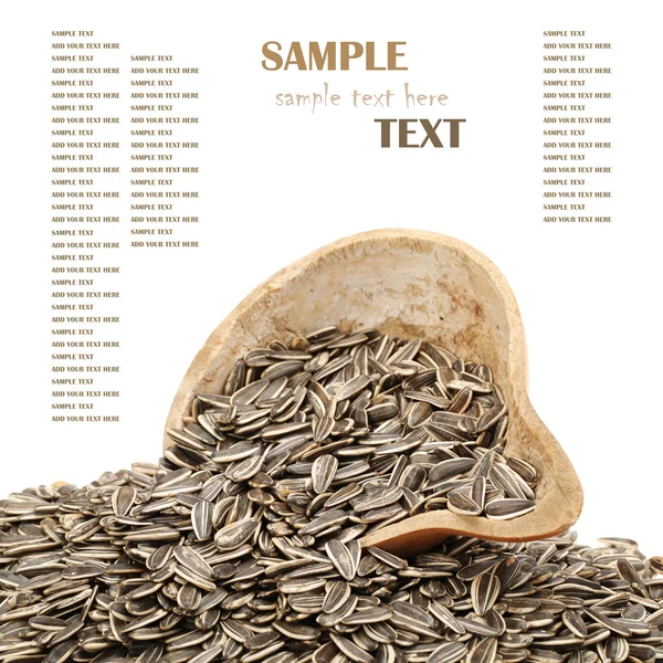 Sunflower seeds — Stock Photo, Image