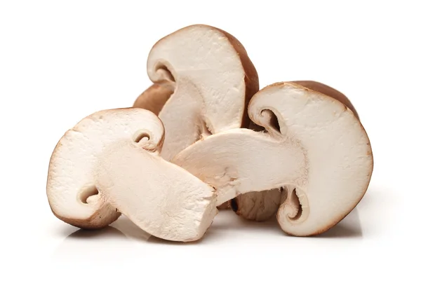 Cogumelo shiitake no fundo branco — Fotografia de Stock