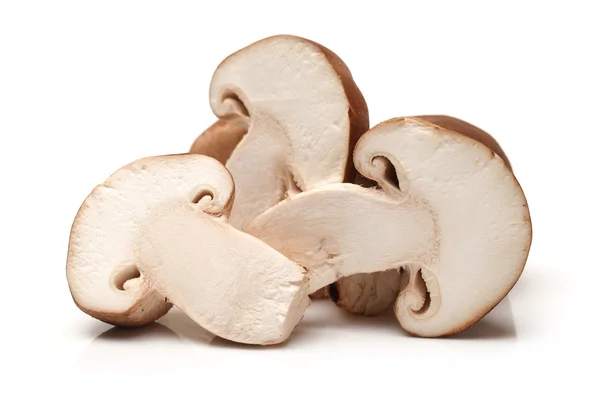 Shiitake svamp på den vita bakgrunden — Stockfoto