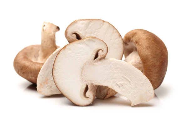 Shiitake mushroom on the White background — Stock Image Shiitake mushroom on the White background Stock Image