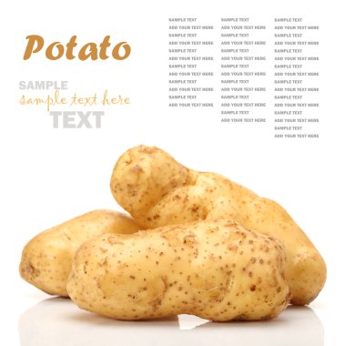 Beyaz arka planda patatesler