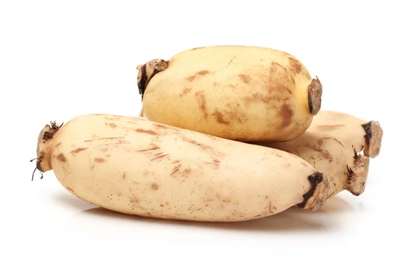 Lotus root on the white background — Stock Photo, Image