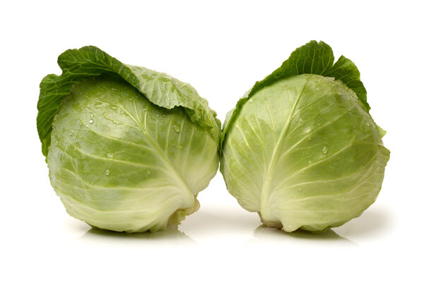 Green cabbage isolated on white background