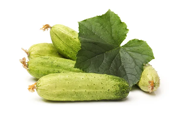 Cucumber — Stock Photo, Image