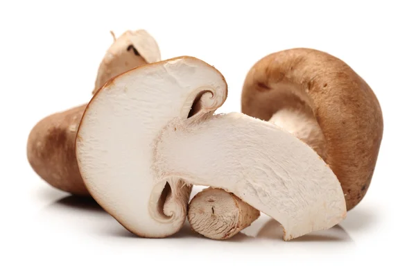 Shiitake paddestoelen — Stockfoto