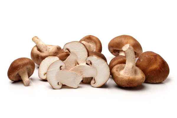 Shiitake paddestoelen — Stockfoto