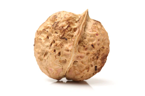 Walnut on white background — Stock Photo, Image