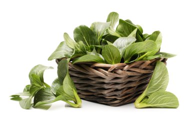 Pok choi beyaz zemin üzerine