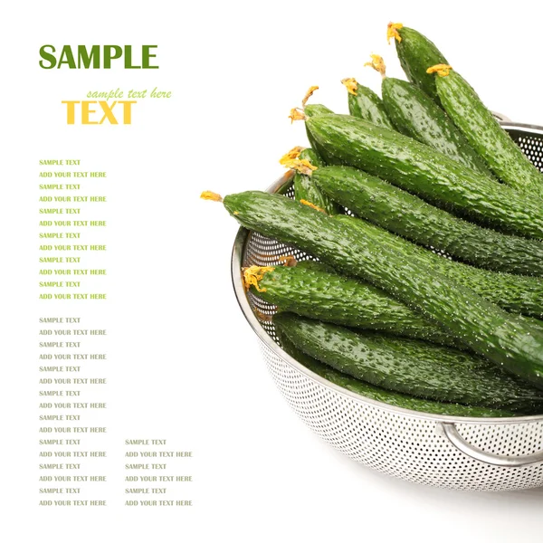 Cucumber — Stock Photo, Image