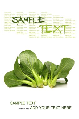 Pok choi beyaz zemin üzerine