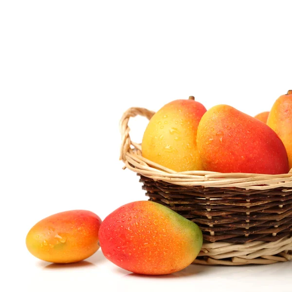 黄色のマンゴー — ストック写真