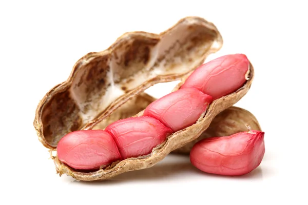 Růžový arašídy — Stock fotografie